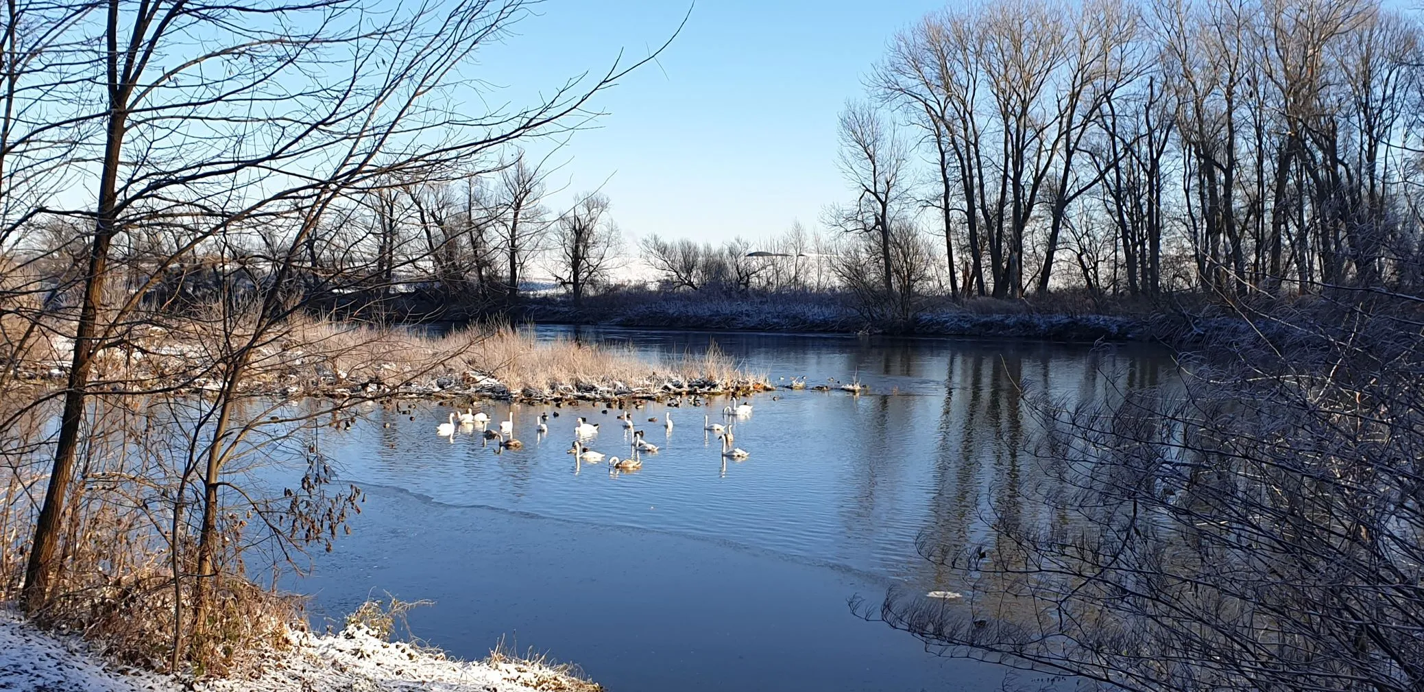 Mulde im Winter