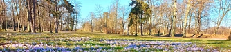 Ansicht großer Park Ansicht großer Park © Stadt Trebsen
