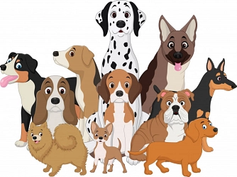 Hundesteuer&nbsp;&copy;&nbsp;Stadt Trebsen