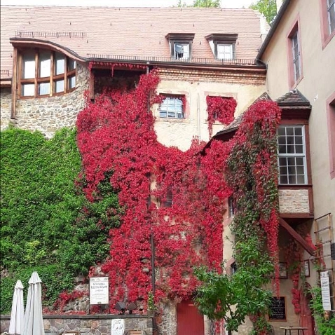 Schloss&nbsp;&copy;&nbsp;Stadt Trebsen